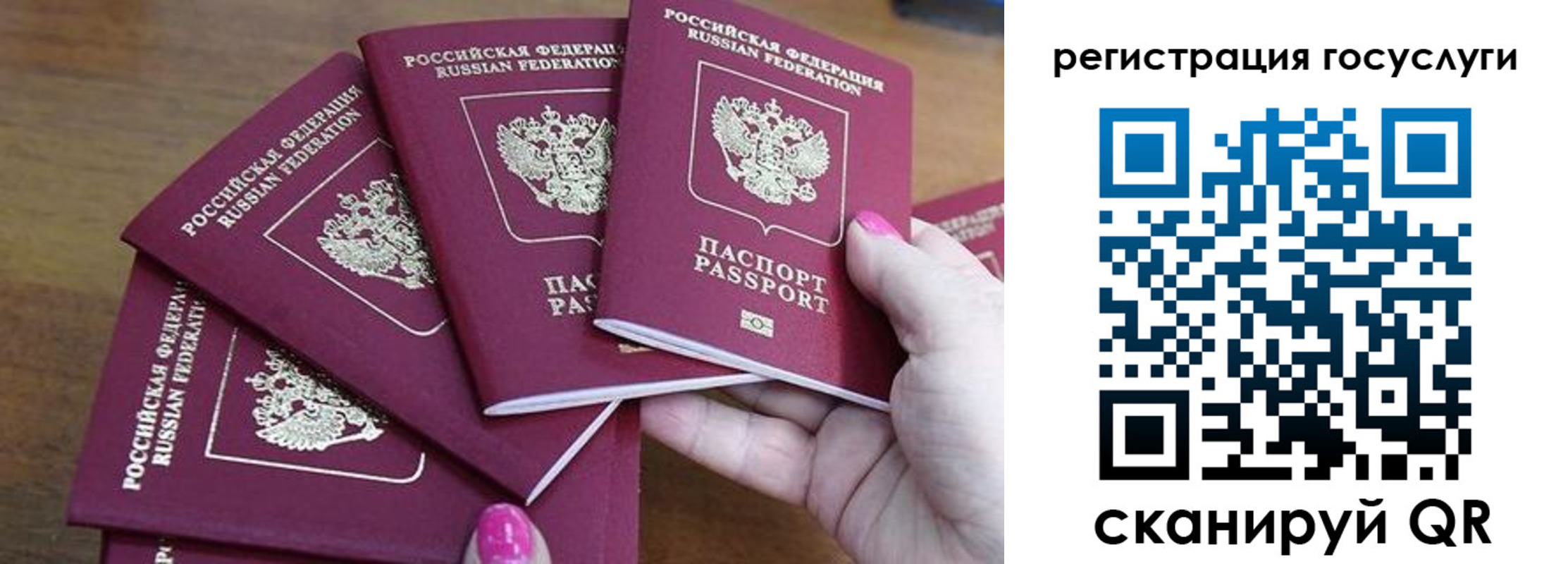 прописка в Пушкино